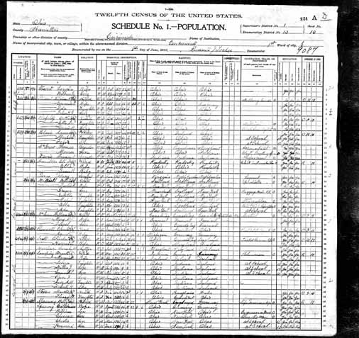 1900 United States Federal Census - Frank Henry Lamping.jpg