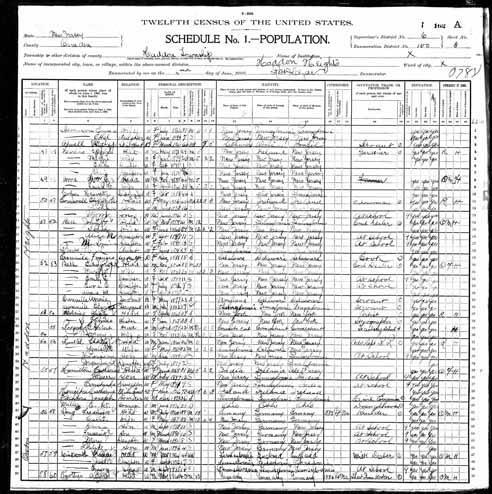 1900 United States Federal Census - Frederick Lange.jpg