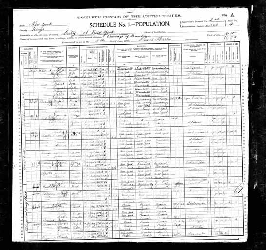 1900 United States Federal Census - Garrett B Lane.jpg