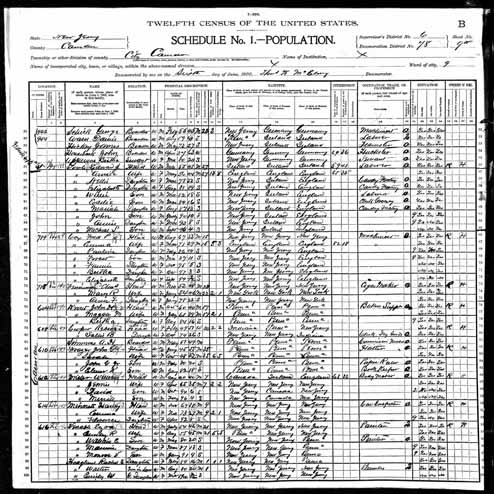 1900 United States Federal Census - George A Schic.jpg