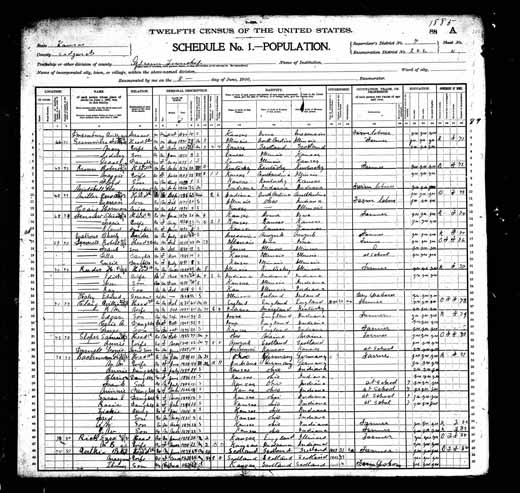 1900 United States Federal Census - George Bachmann.jpg