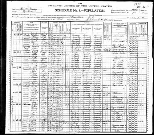 1900 United States Federal Census - George Frederick Gahr.jpg