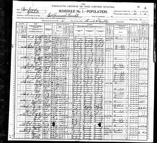 1900 United States Federal Census - George Jakob David Obenland.jpg