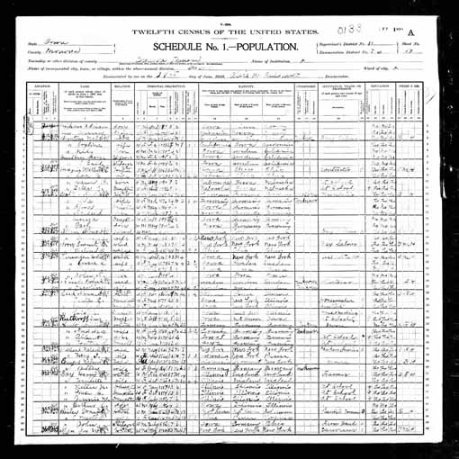 1900 United States Federal Census - Harriette B Nadan.jpg