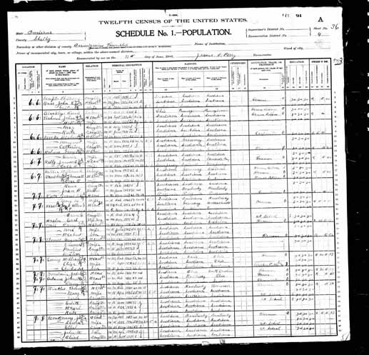 1900 United States Federal Census - Hazel May Winkles.jpg