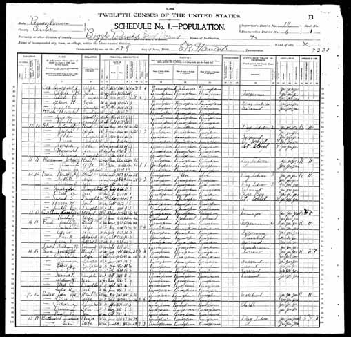 1900 United States Federal Census - Henry Franklin.jpg