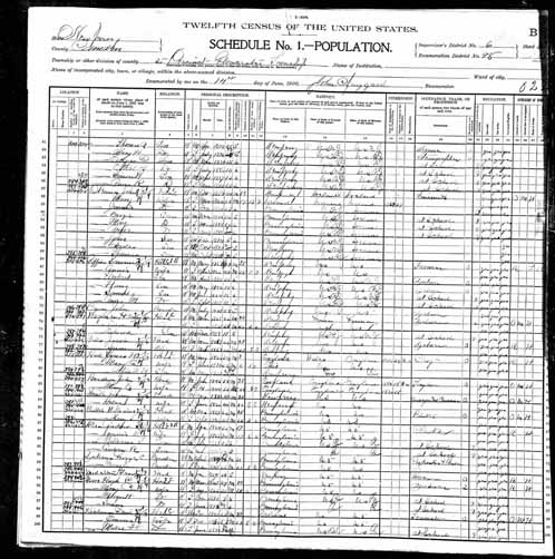 1900 United States Federal Census - Herbert Darnel.jpg