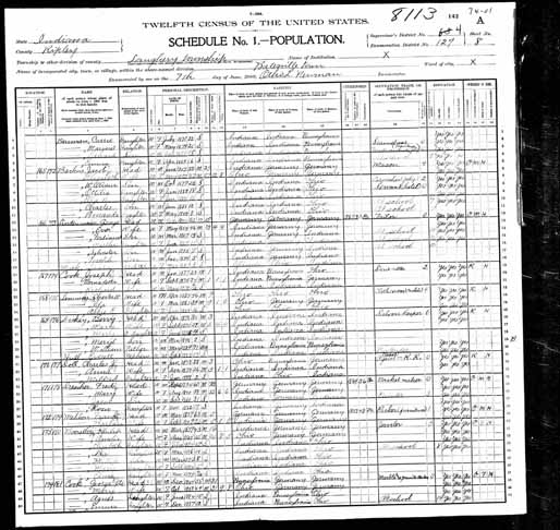 1900 United States Federal Census - Irene Weintraut(1).jpg