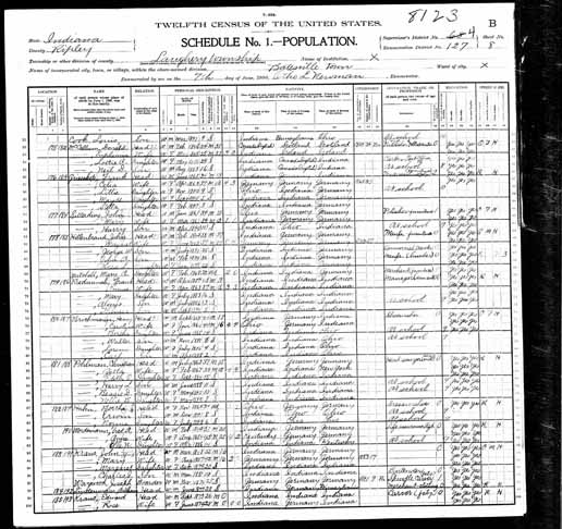 1900 United States Federal Census - Irene Weintraut.jpg