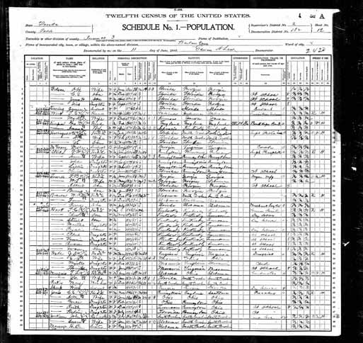 1900 United States Federal Census - J L Holllingsworth.jpg