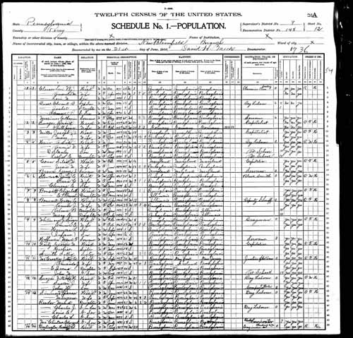 1900 United States Federal Census - James E Stewart.jpg