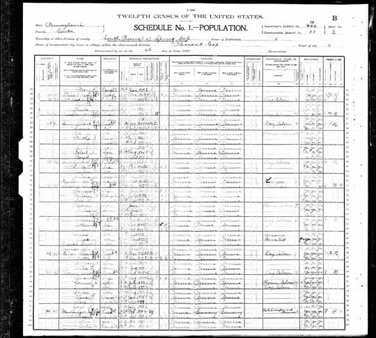 1900 United States Federal Census - John C Mulfing.jpg