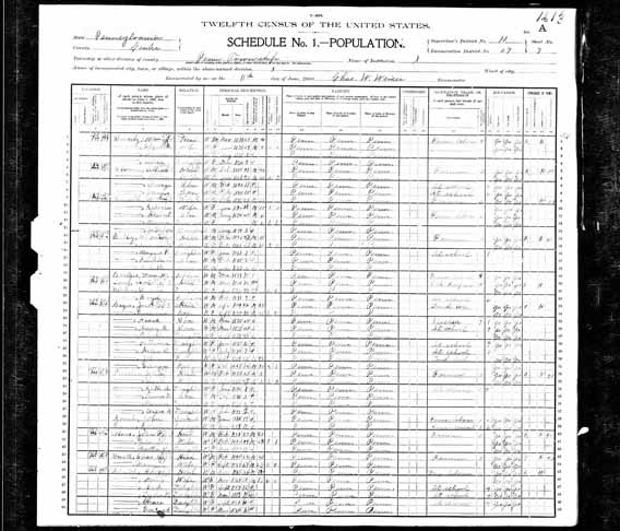 1900 United States Federal Census - John Calvin Smith.jpg