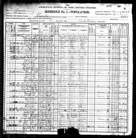 1900 United States Federal Census - John H Hagood.jpg
