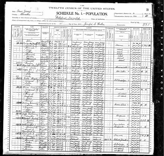 1900 United States Federal Census - John Joseph Bl.jpg