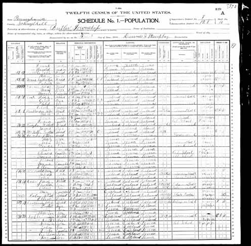 1900 United States Federal Census - John Joseph Mullarkey.jpg