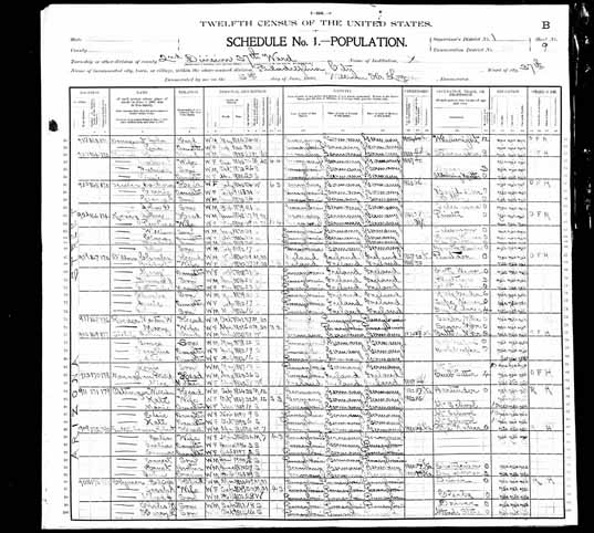 1900 United States Federal Census - John Siehl.jpg