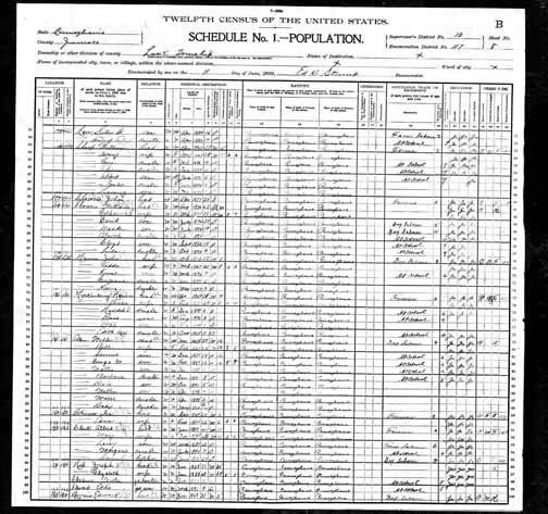 1900 United States Federal Census - John Thomas Showers.jpg
