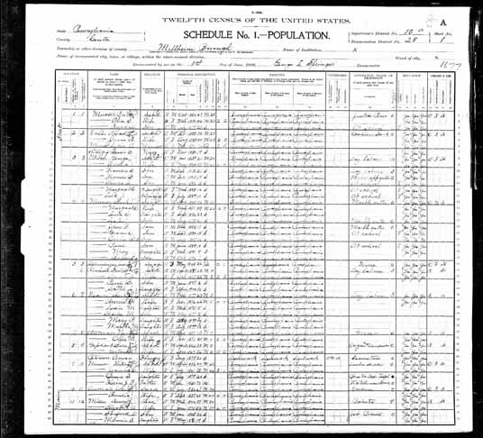 1900 United States Federal Census - Julia A DEININGER.jpg