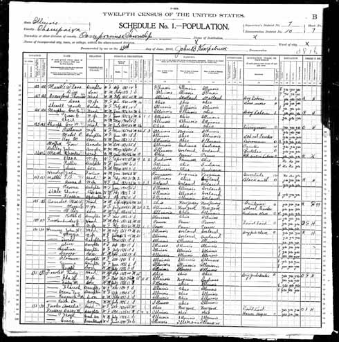 1900 United States Federal Census - Laura Christine Hennessy.jpg