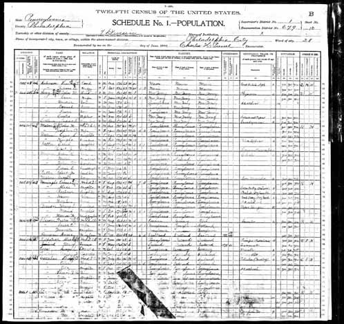 1900 United States Federal Census - Laura Duncan.jpg