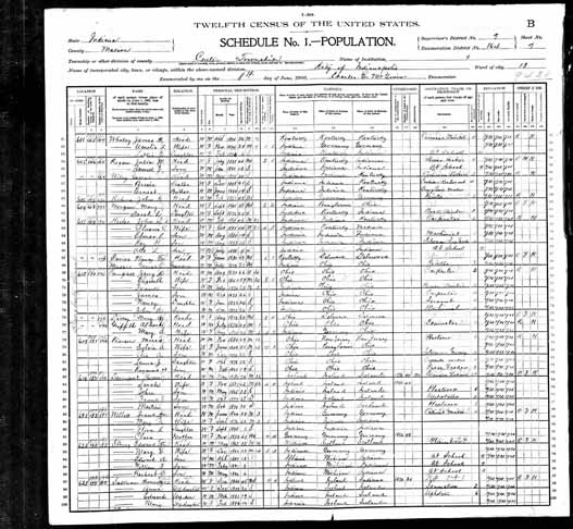1900 United States Federal Census - Laura Gertrude Pierson.jpg