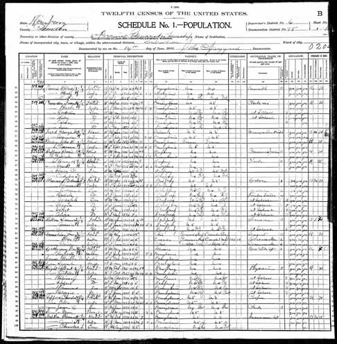 1900 United States Federal Census - Laura Rebecca .jpg