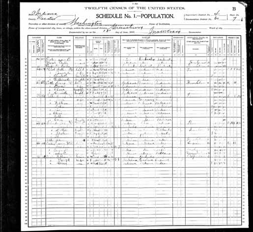 1900 United States Federal Census - Lee Court Selke.jpg