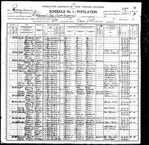 1900 United States Federal Census - Lindley V Righ.jpg