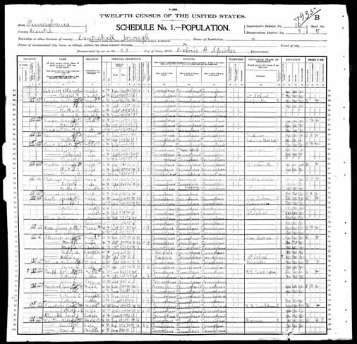 1900 United States Federal Census - Lucy Deininger.jpg