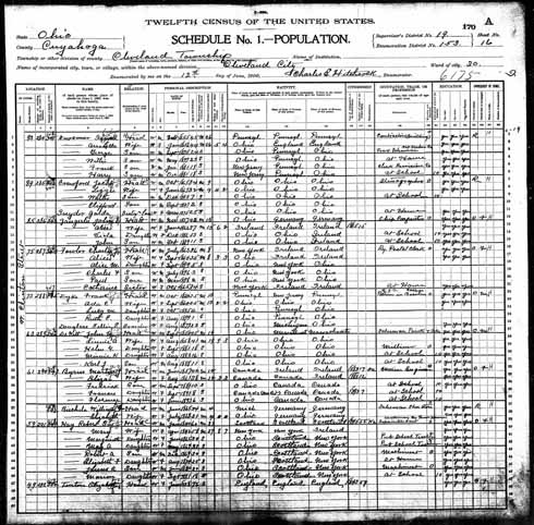 1900 United States Federal Census - Lucy M Dyke.jpg