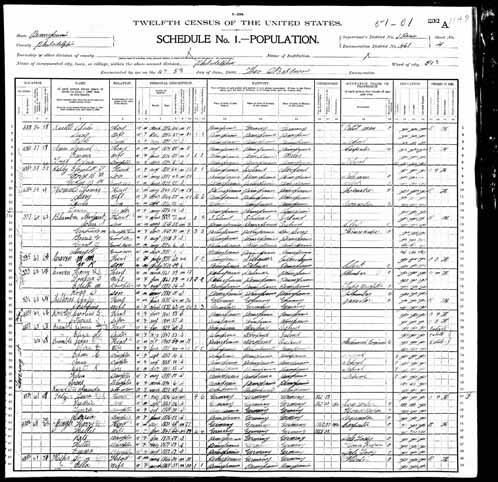 1900 United States Federal Census - Luise Karoline.jpg