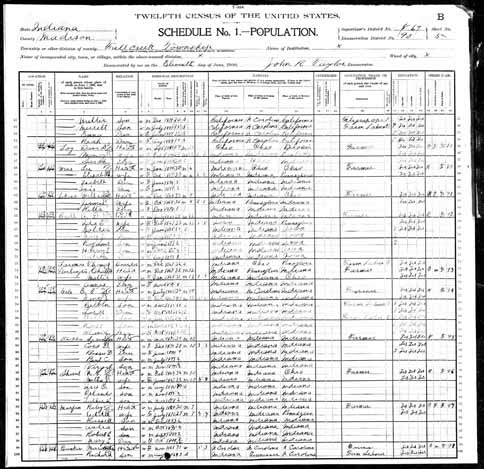 1900 United States Federal Census - Luther Lee Shaul.jpg
