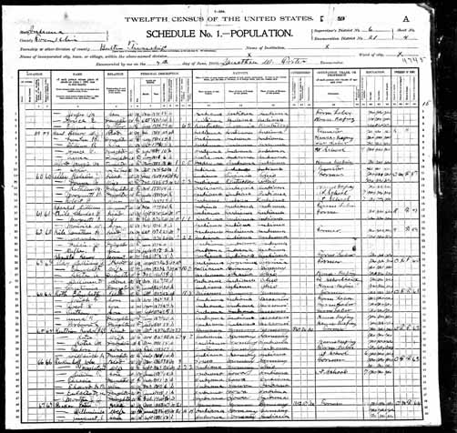 1900 United States Federal Census - Magdalena Angela Riedeman.jpg