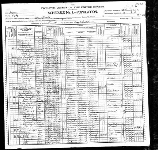 1900 United States Federal Census - Magdalena Bachmann.jpg