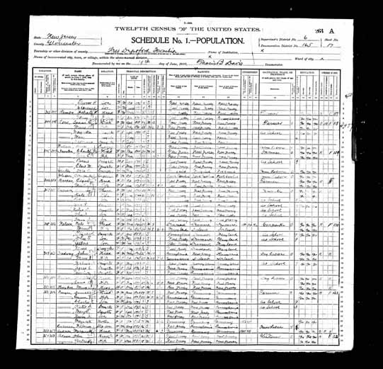 1900 United States Federal Census - Margaretta Barbara Bauer.jpg