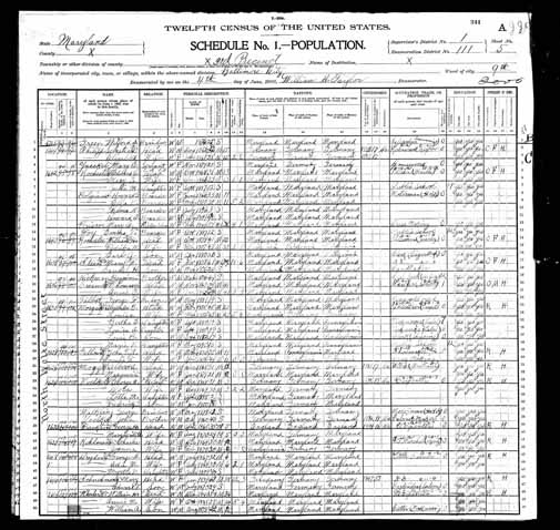 1900 United States Federal Census - Marie Voss Morgan.jpg
