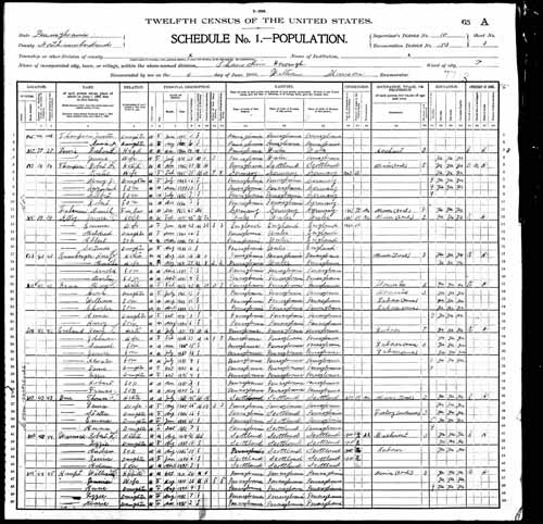 1900 United States Federal Census - Marlin Ellsworth Rumberger.jpg