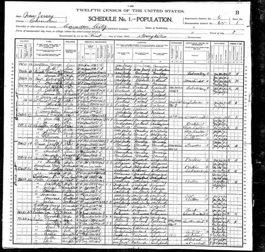 1900 United States Federal Census - Mary Ann Campb.jpg