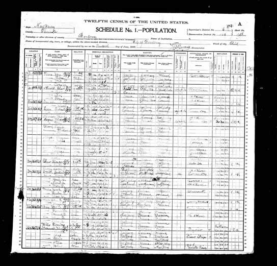 1900 United States Federal Census - Mary C Obenland.jpg