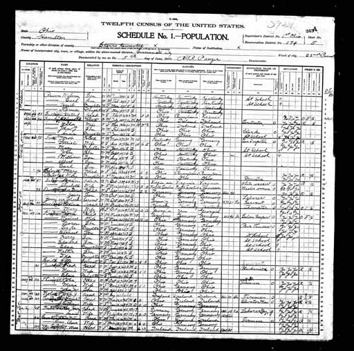 1900 United States Federal Census - Mary Fern.jpg