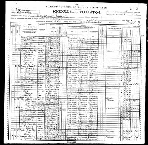 1900 United States Federal Census - Mordecai Dempsey Boone.jpg