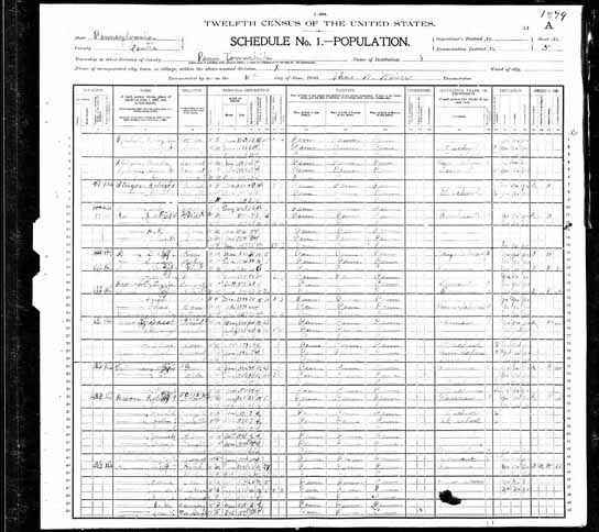 1900 United States Federal Census - Newton Frankli.jpg