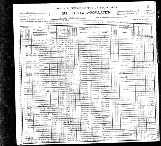 1900 United States Federal Census - Nicholas Weintraut.jpg