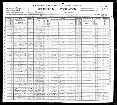 1900 United States Federal Census - Otto H Rudd.jpg