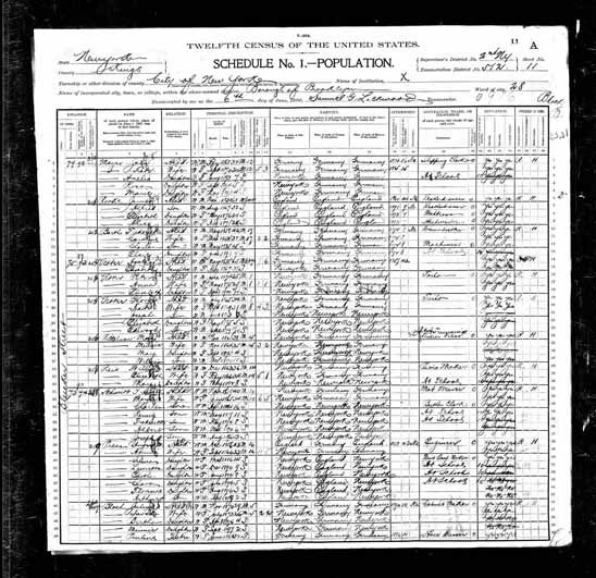 1900 United States Federal Census - Peter M Vetter.jpg