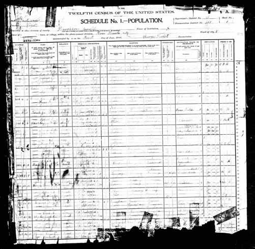 1900 United States Federal Census - Ronald Wills Brown.jpg
