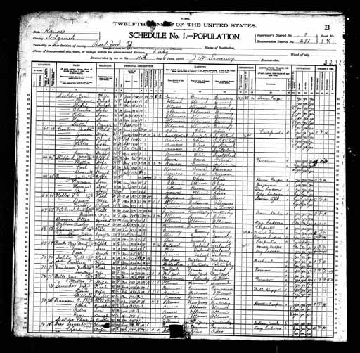 1900 United States Federal Census - Rosa A Woods.jpg