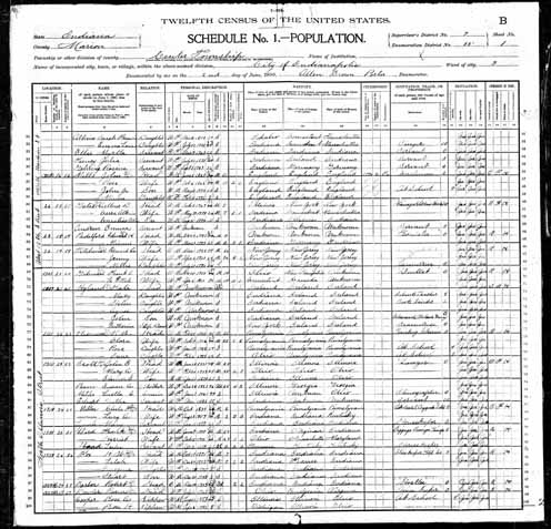 1900 United States Federal Census - Rosa Weintraut.jpg