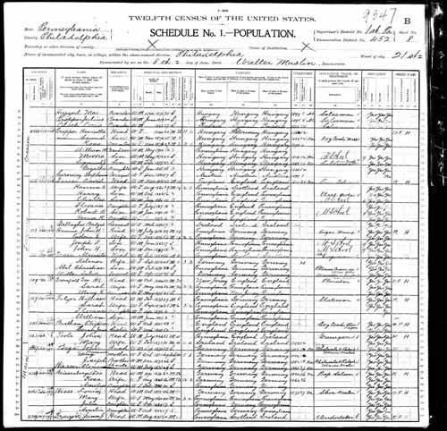 1900 United States Federal Census - Sarah A Palmer.jpg
